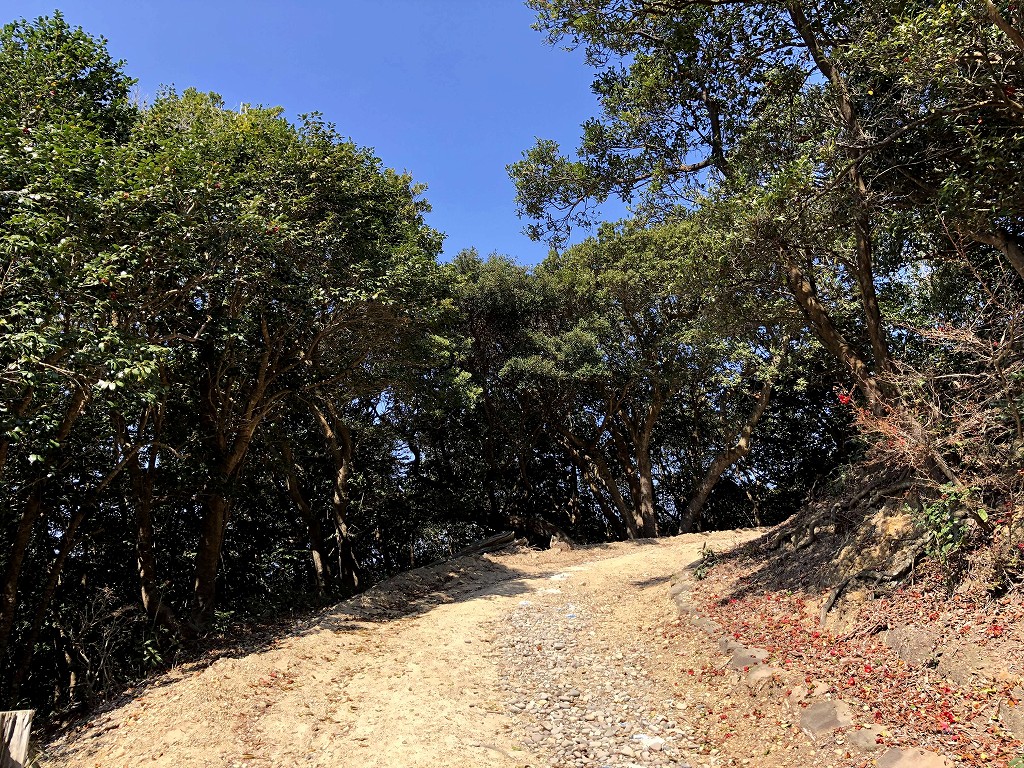 友ヶ島の第三砲台跡に向かう上り坂2