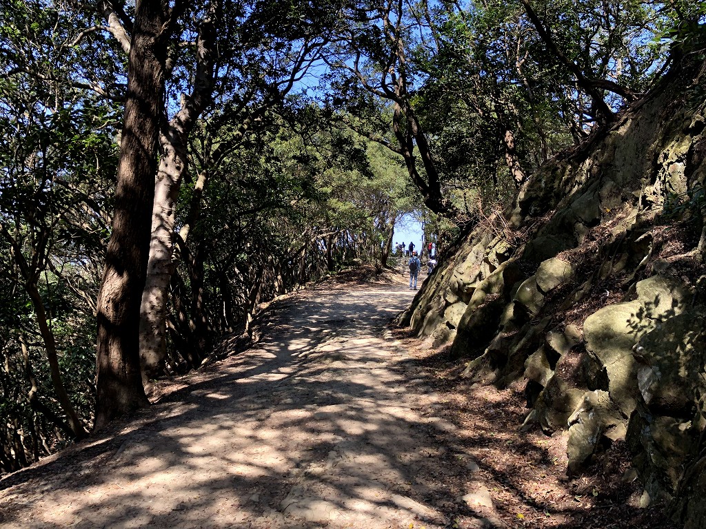 友ヶ島の小展望台1