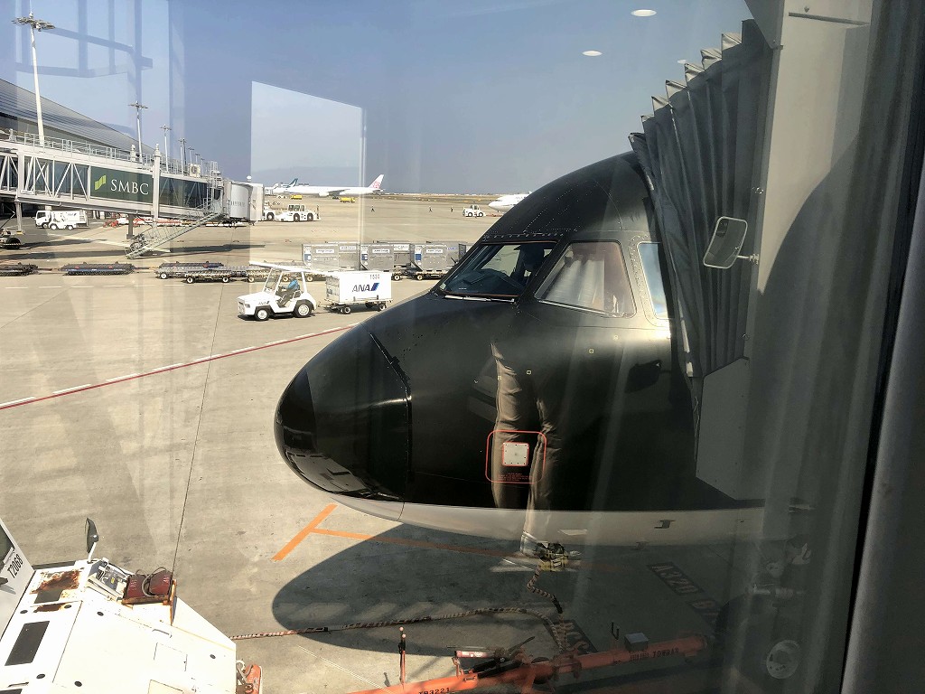 スターフライヤーの黒い機体