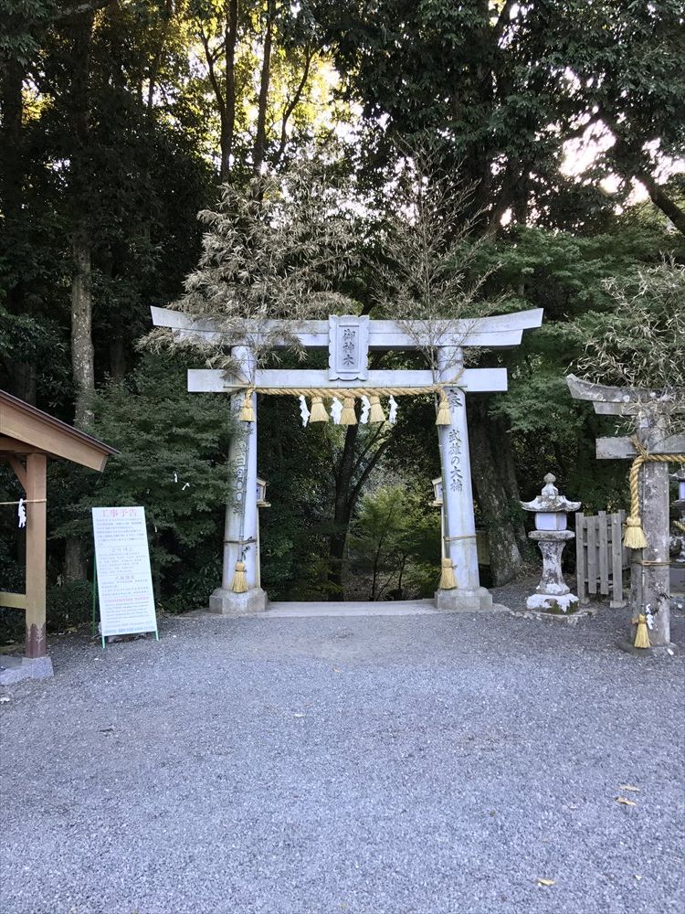 武雄神社の大楠の鳥居