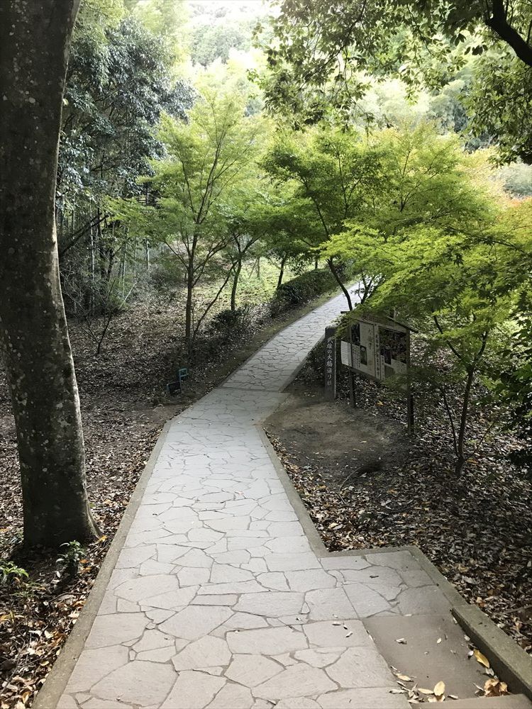 武雄神社の大楠への道1