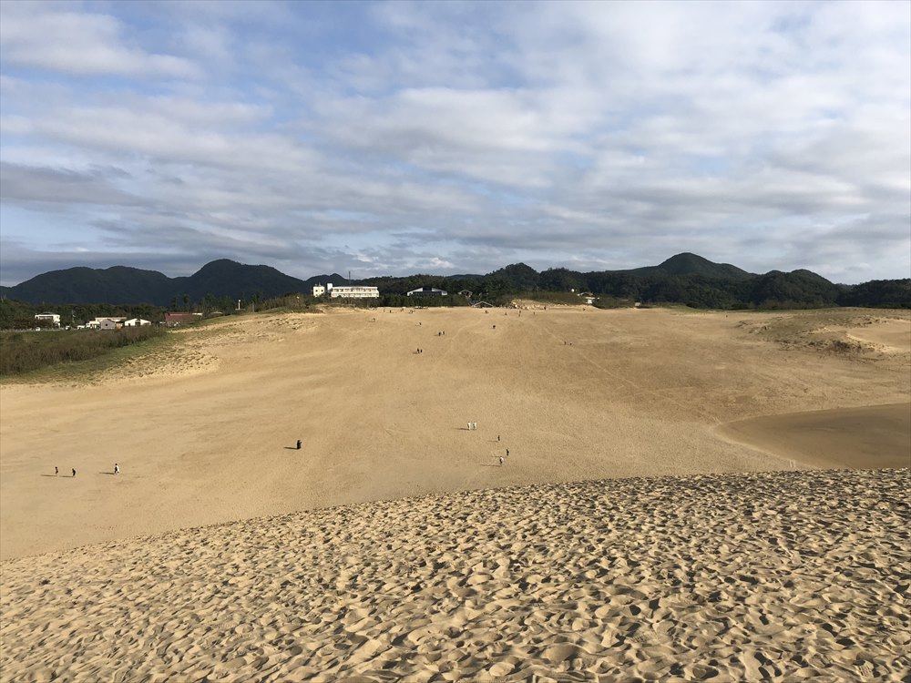 鳥取砂丘の馬の背の上4