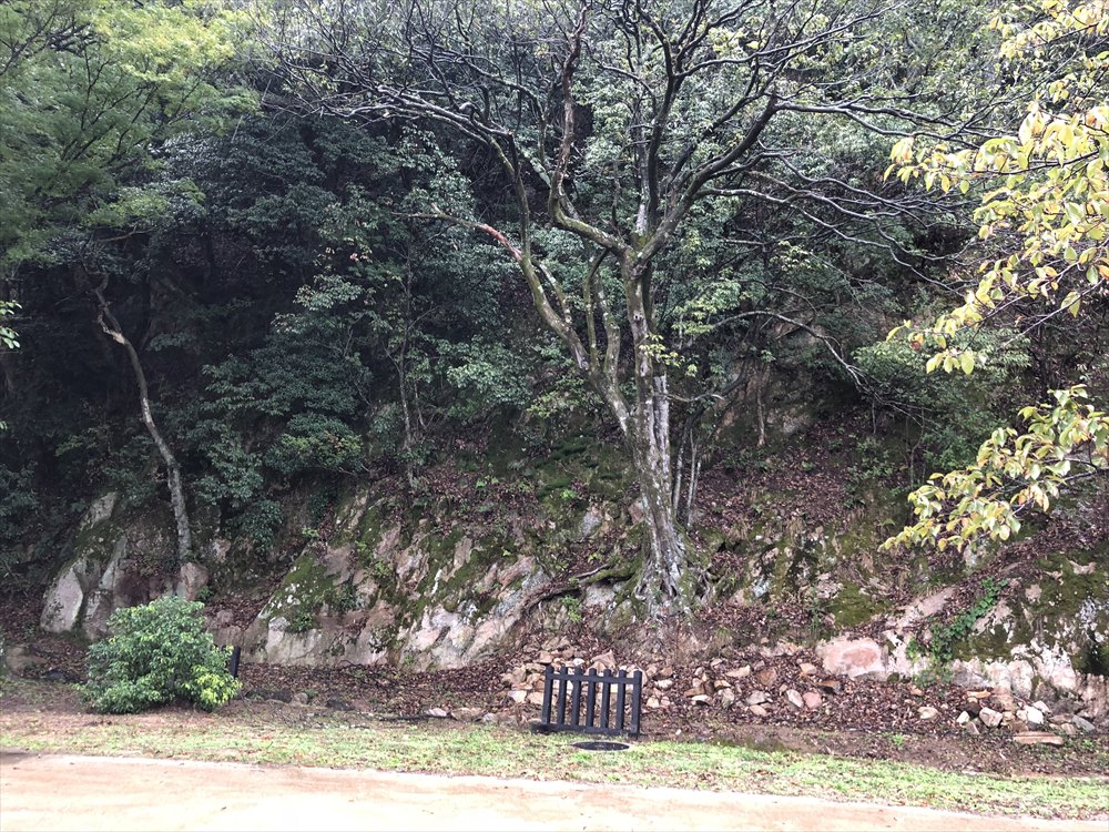鳥取城の二の丸跡の石切場1