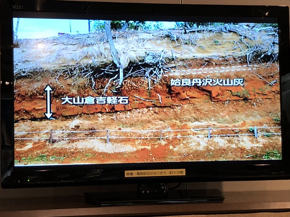 鳥取県立博物館の砂丘の成り立ち