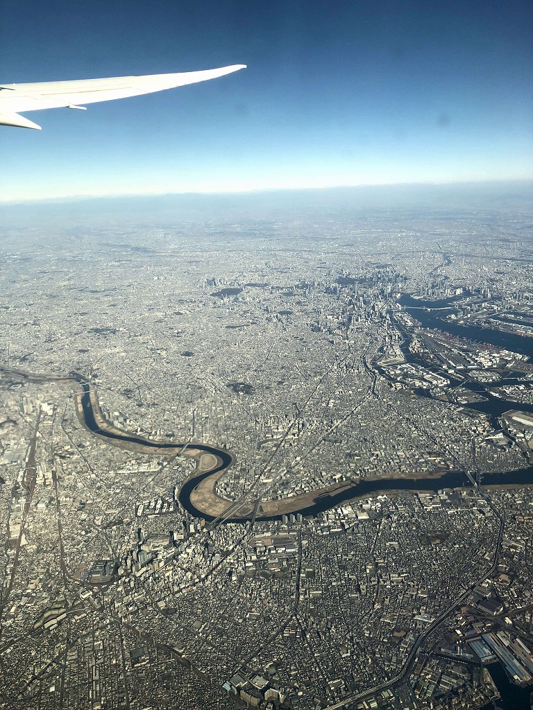 ANA693便から東京の稠密な住宅地