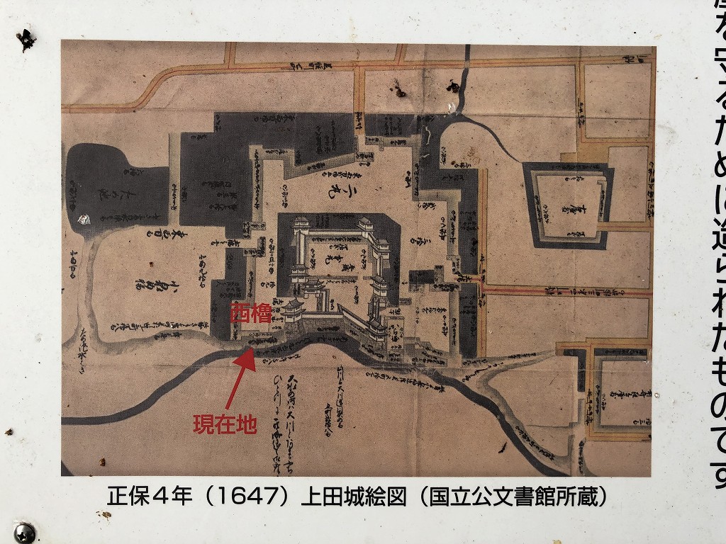 上田城の尼ヶ淵の崖4