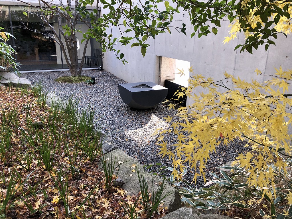 鈴木大拙館の露地の庭