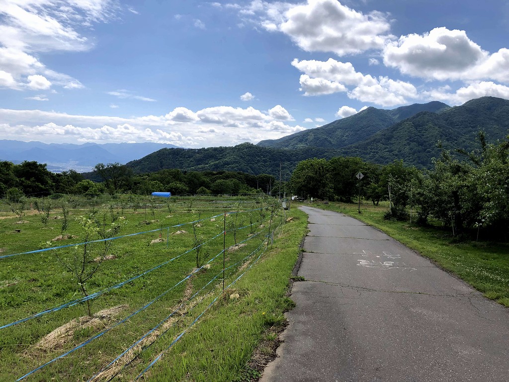 真田氏居館跡からの下り道1