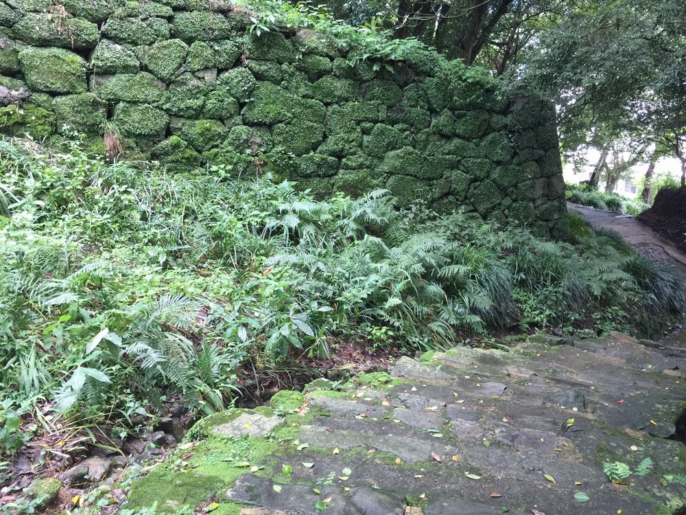 宇和島城の苔むす石段