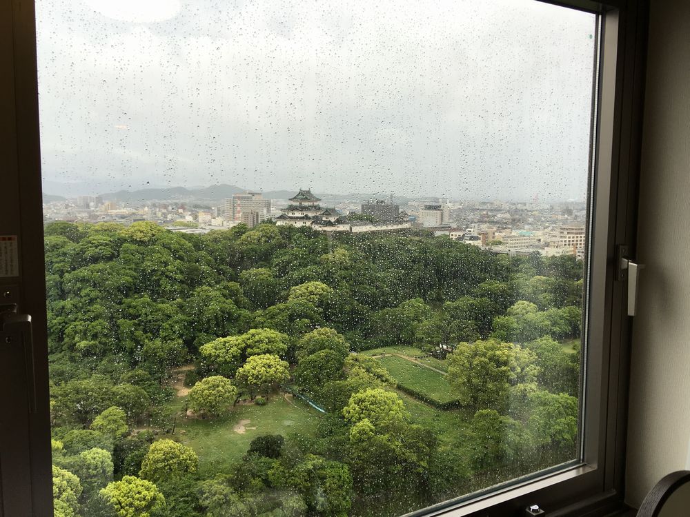 ダイワロイネットホテル和歌山から和歌山城（雨）