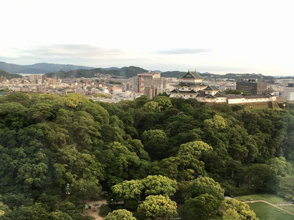 ダイワロイネットホテル和歌山から和歌山城（晴れ）