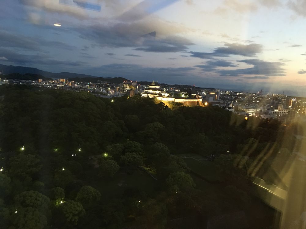 ライトアップした和歌山城