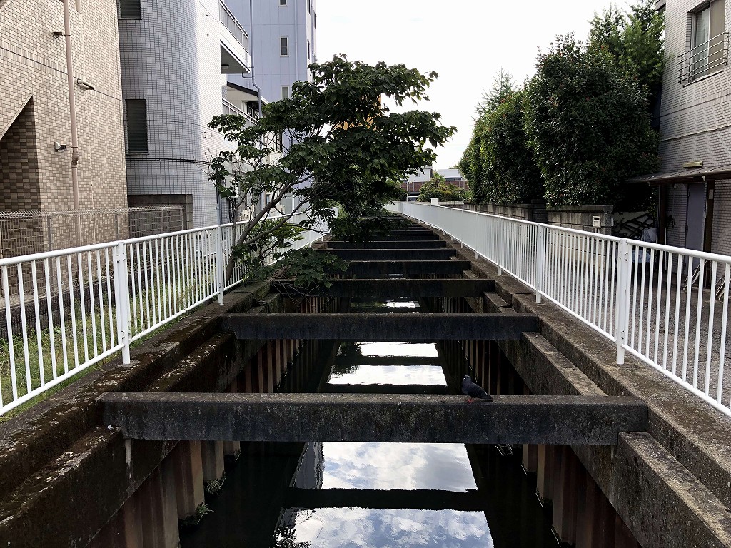 ワラビーハウス近くのタテカワ