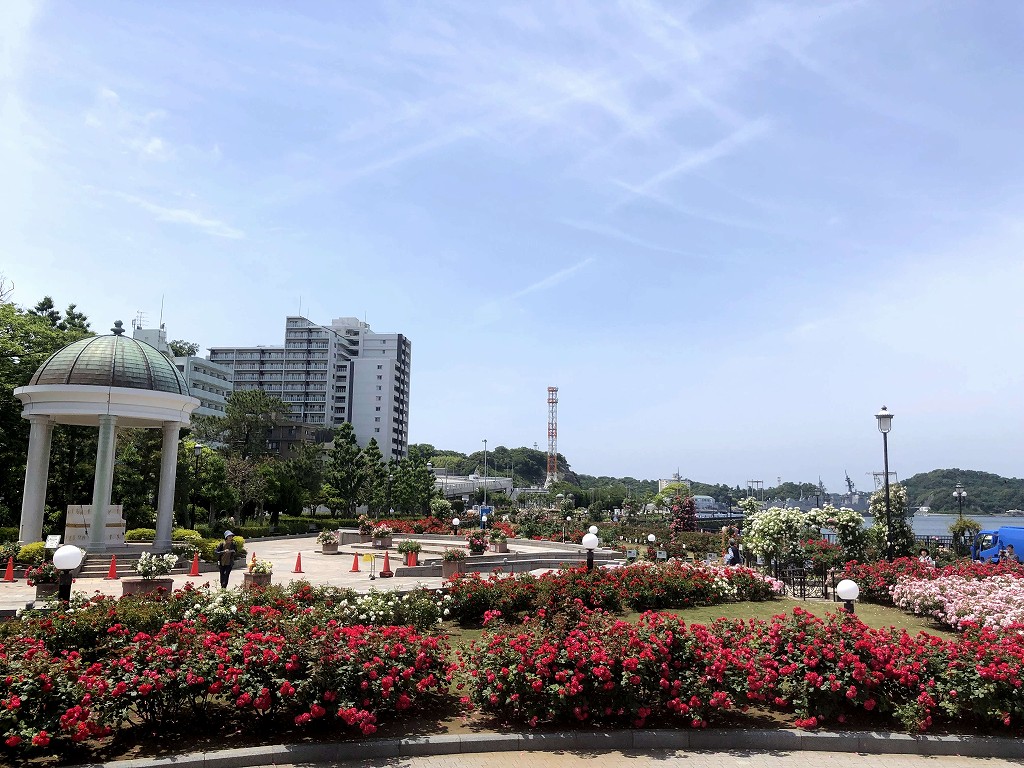 横須賀ヴェルニー公園のバラ園