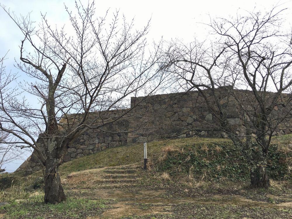 米子城跡の遠見櫓の桜