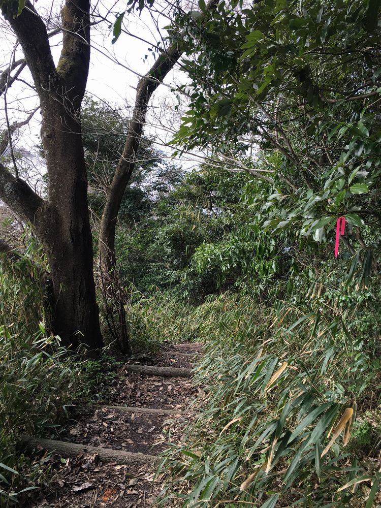 米子城の険しい道2