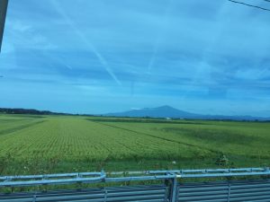 庄内平野