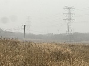 福島第一原発のクレーン