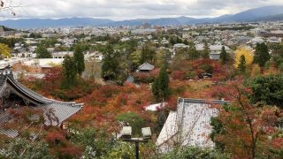 京都の永観堂の紅葉