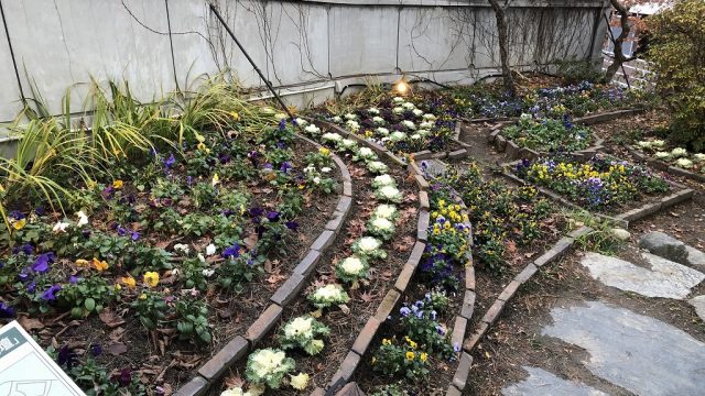 花巻の「茶寮かだん」の宮沢賢治設計と言われる花壇