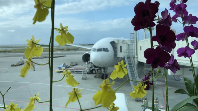 那覇空港に到着したJAL915便
