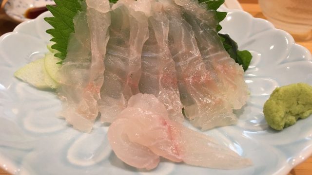 高知の「おおとら」のアコウ