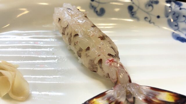諫早の「鮨 海治」の生け簀のクルマエビ