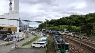 徳島城の城山をバックに入る牟岐線のディーゼル車