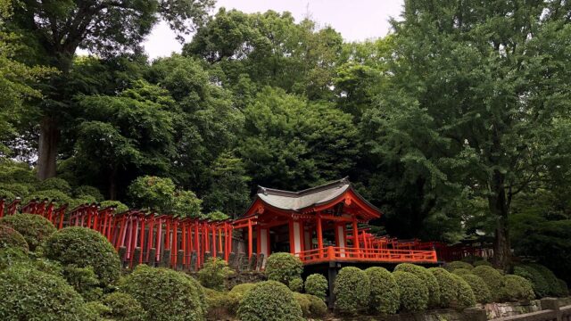 根津神社の千本鳥居