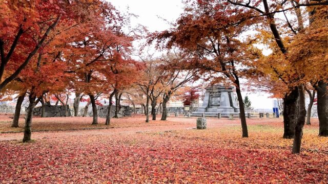 盛岡城跡公園の紅葉