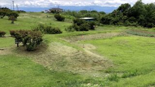 真田氏居館跡の厩小屋